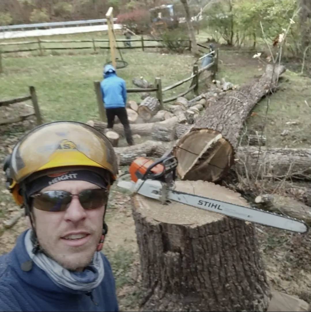 Justin on a tree leaning close to a house — careful, precise work